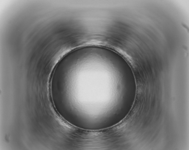 X0000095881423200801251130