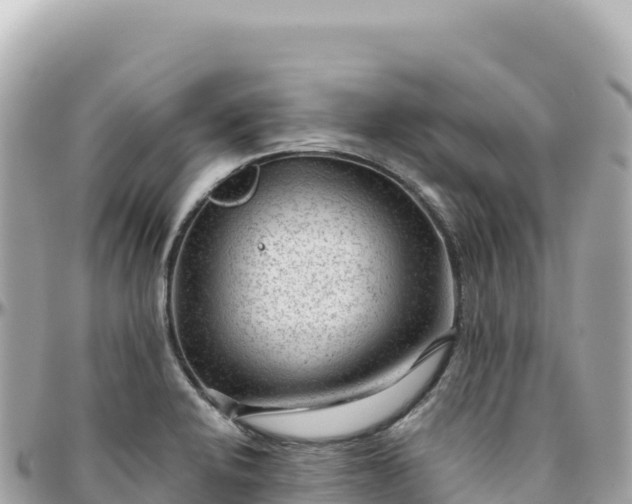 X0000095881424200801251130