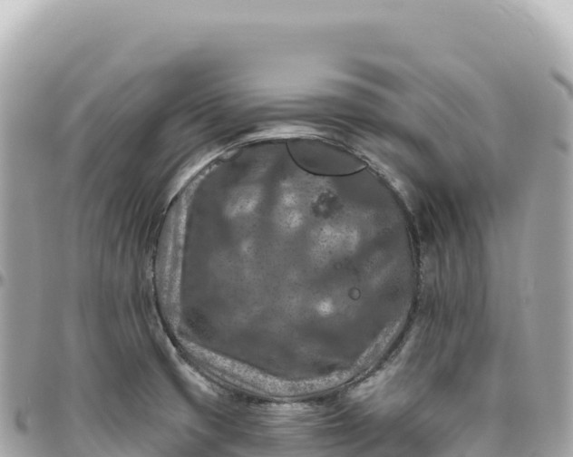 X0000095881425200801251130