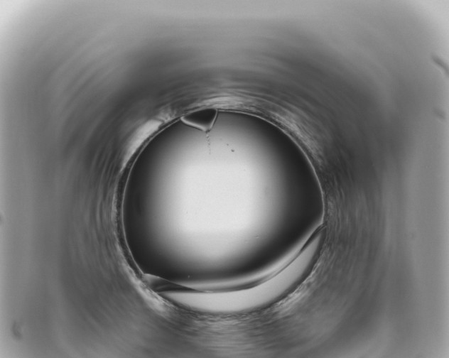 X0000095881426200801251130