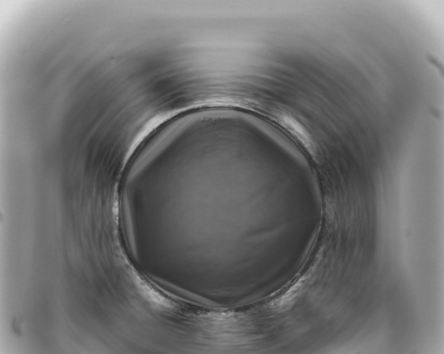 X0000095881428200801251130