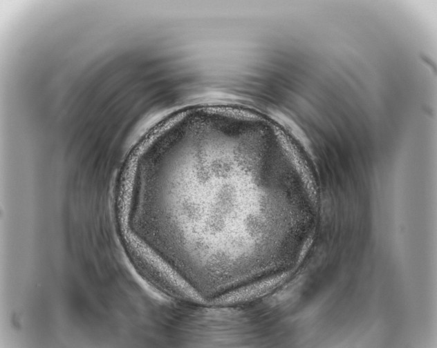 X0000095881429200801251130