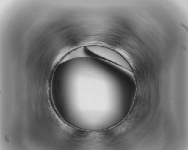 X0000095881430200801251130