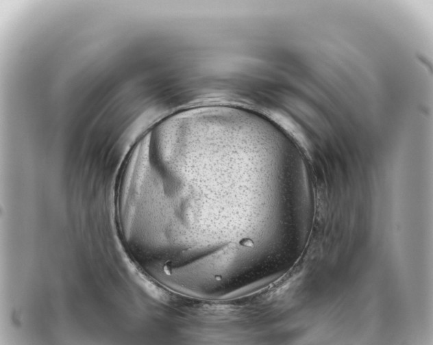 X0000095881431200801251130