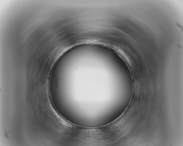 X0000095881432200801251130