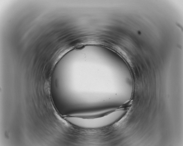 X0000095881433200801251131