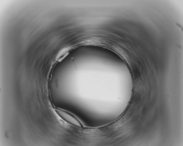 X0000095881434200801251131