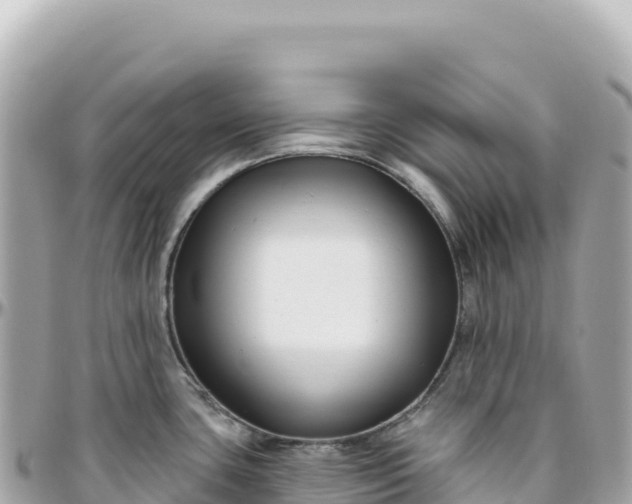 X0000095881435200801251131