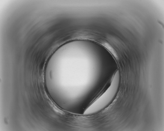 X0000095881436200801251131