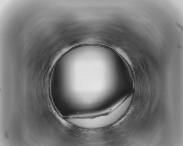 X0000095881437200801251131