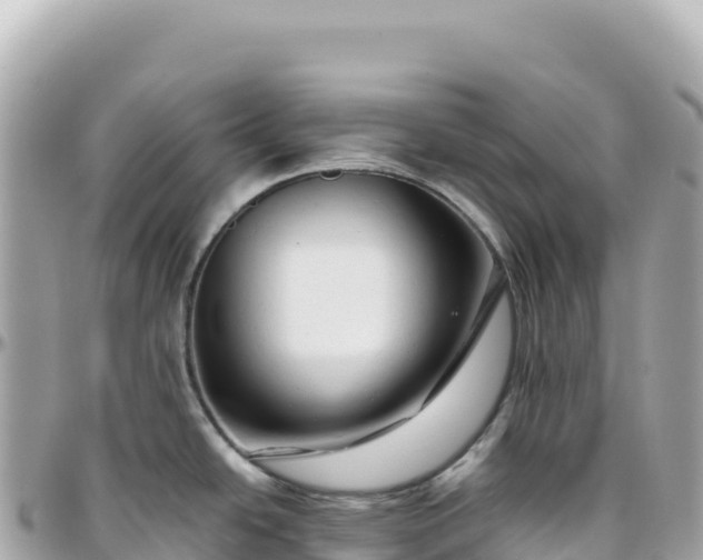 X0000095881438200801251131