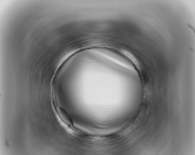 X0000095881439200801251131