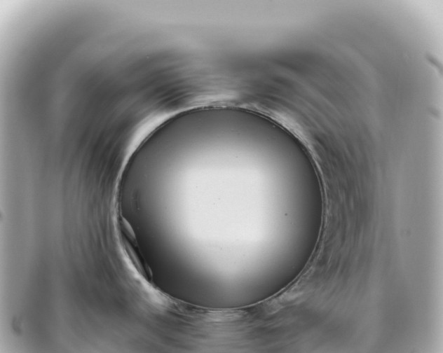 X0000095881440200801251131