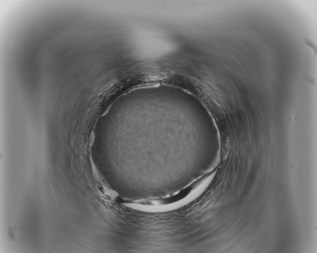 X0000095881441200801251130