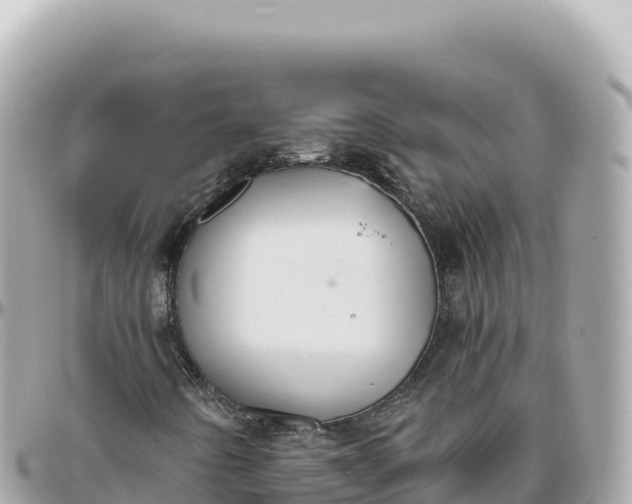 X0000095881442200801251130