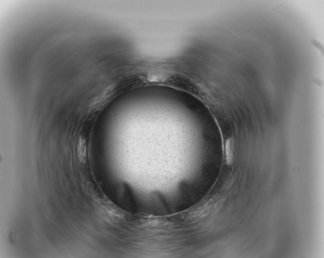 X0000095881443200801251130