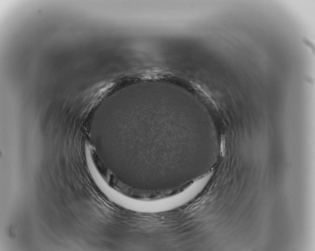 X0000095881444200801251130