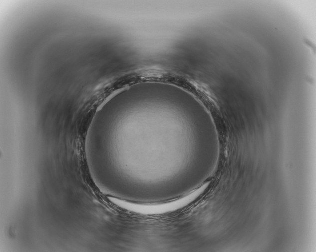 X0000095881445200801251130