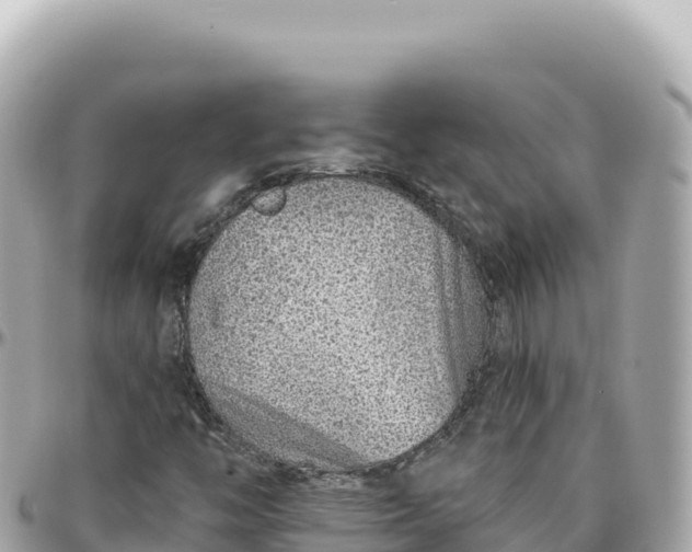 X0000095881446200801251130