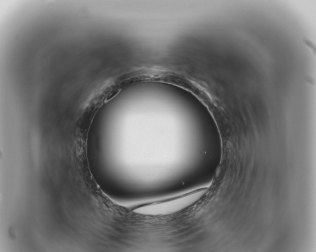 X0000095881447200801251130