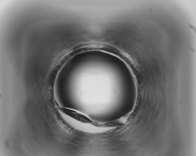 X0000095881448200801251130