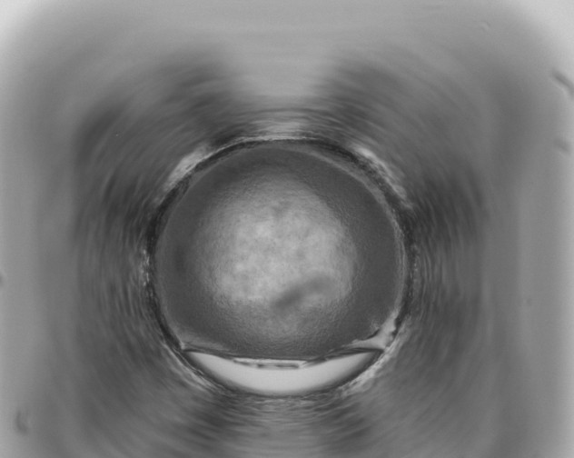 X0000095881449200801251130