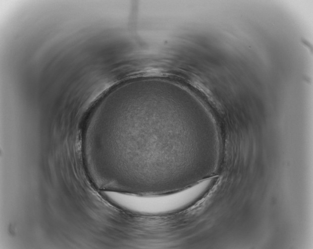 X0000095881450200801251130