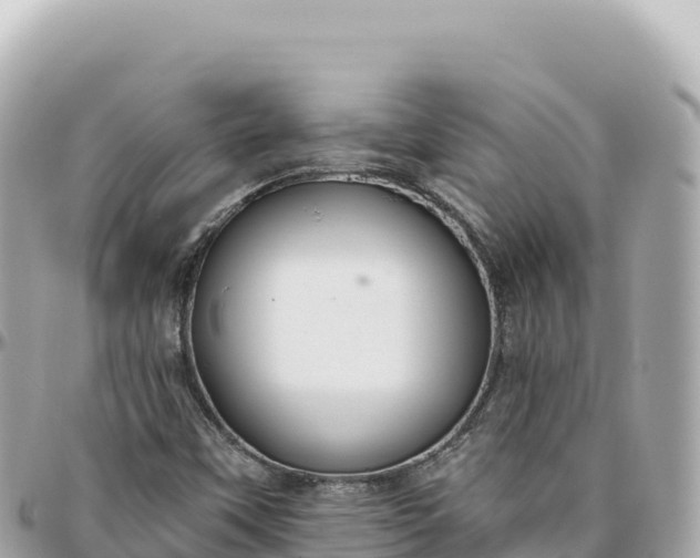 X0000095881451200801251130