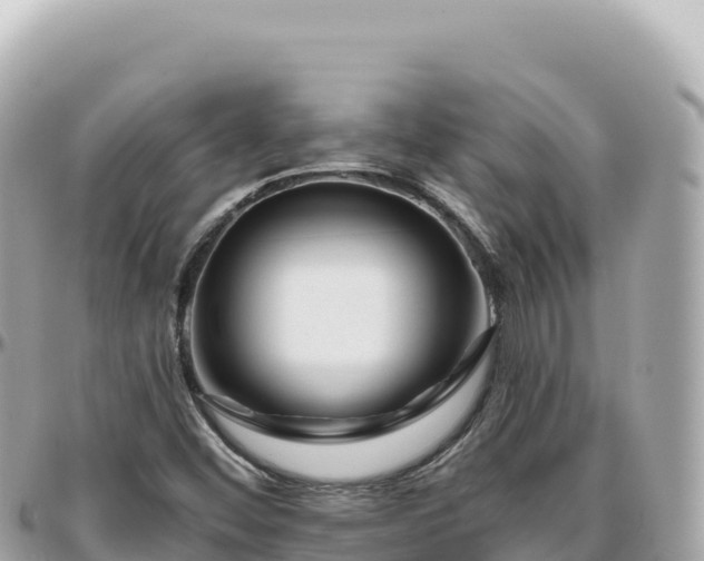 X0000095881452200801251130