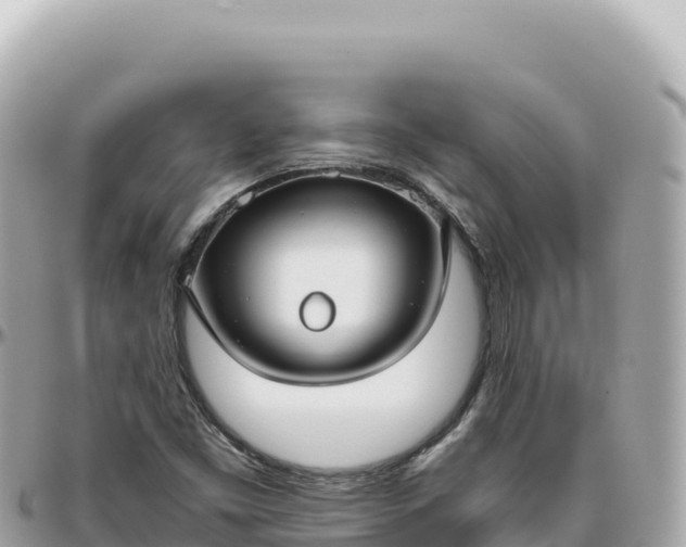 X0000095881453200801251130