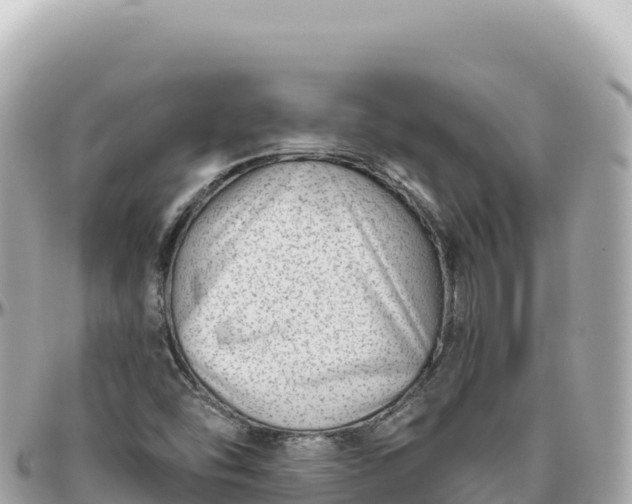 X0000095881454200801251130