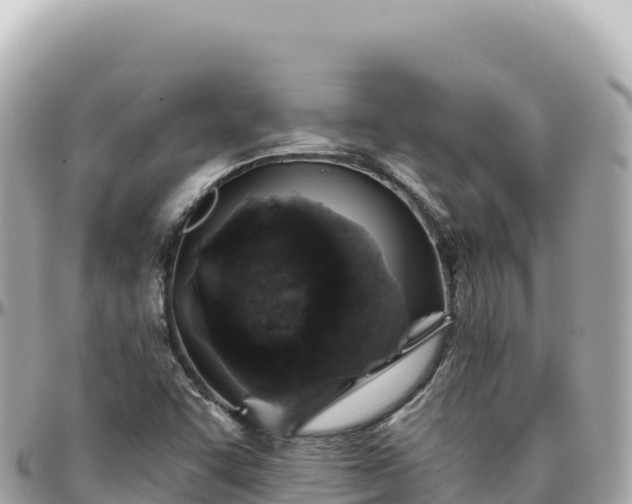 X0000095881455200801251130