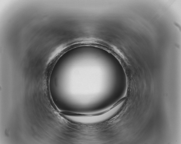 X0000095881456200801251130