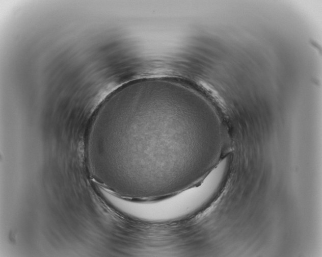 X0000095881457200801251130