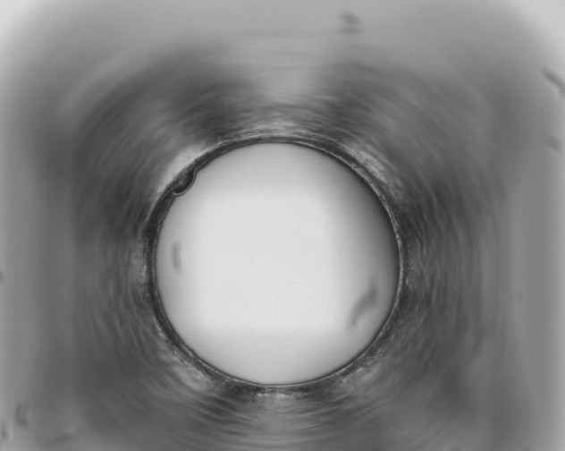 X0000095881458200801251130