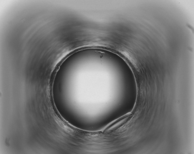 X0000095881460200801251130