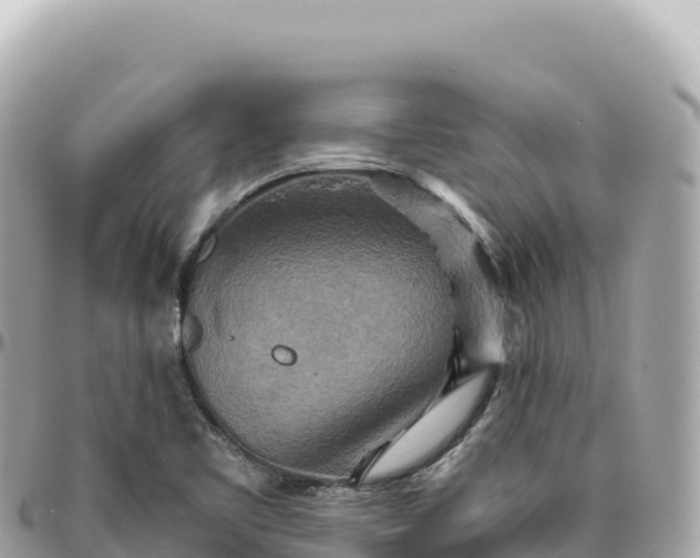 X0000095881461200801251130