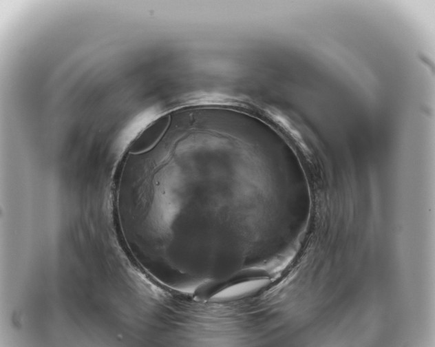 X0000095881463200801251130