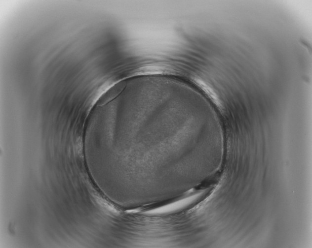 X0000095881465200801251130