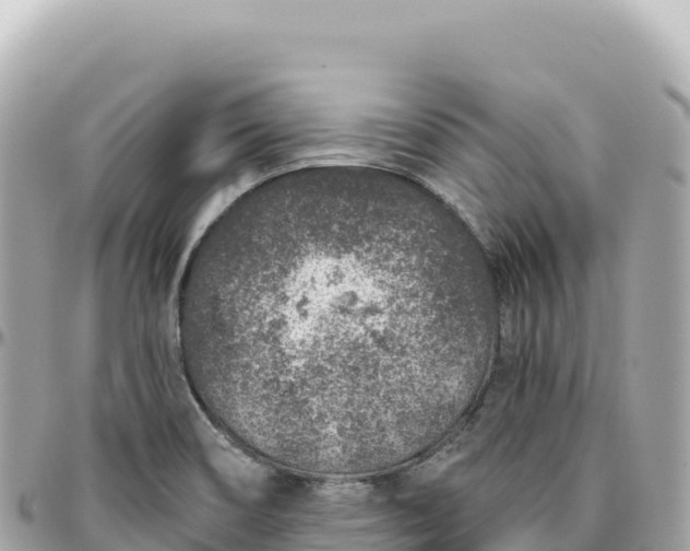 X0000095881466200801251130