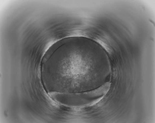 X0000095881468200801251130