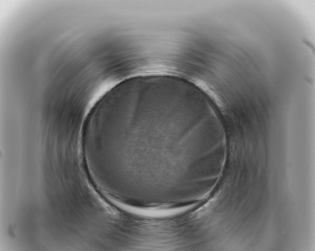 X0000095881469200801251130