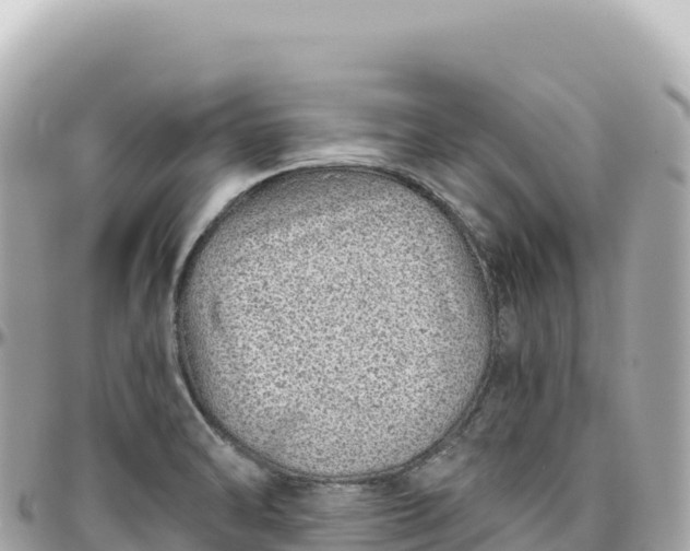 X0000095881470200801251130