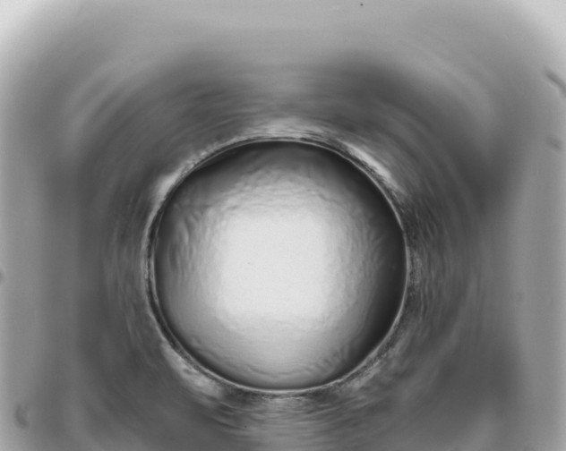 X0000095881471200801251130