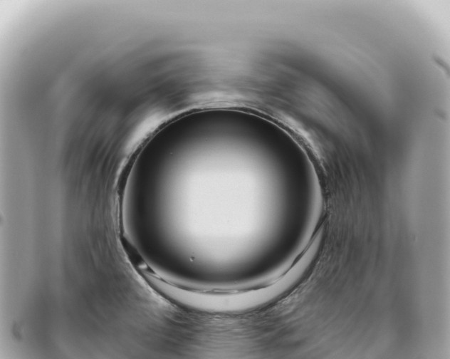 X0000095881472200801251130