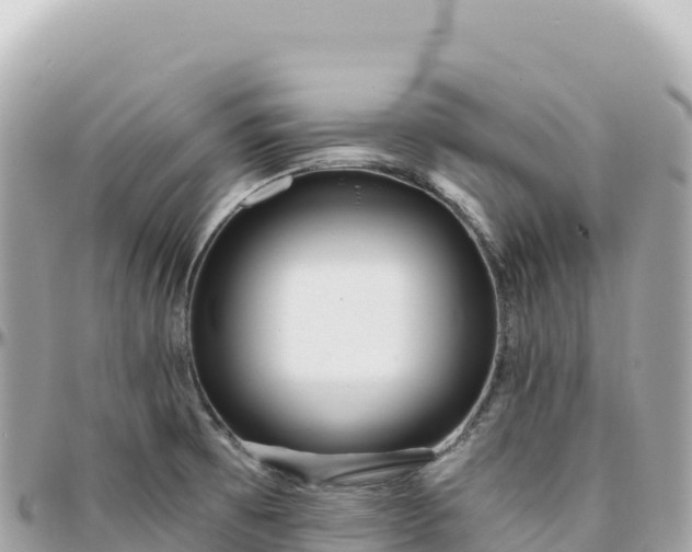 X0000095881473200801251130