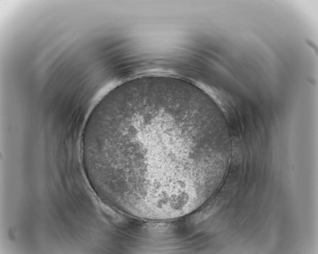 X0000095881474200801251129