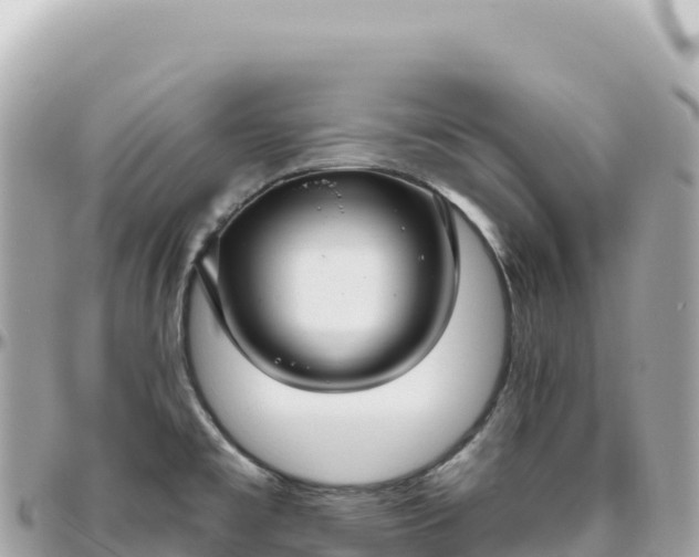 X0000095881477200801251129