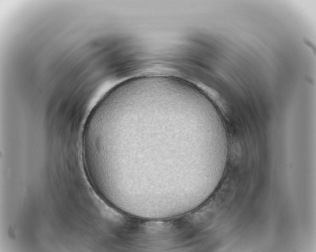 X0000095881478200801251129