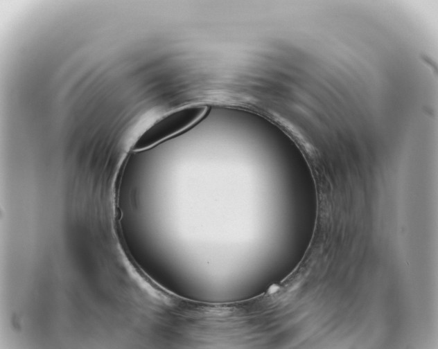 X0000095881479200801251129